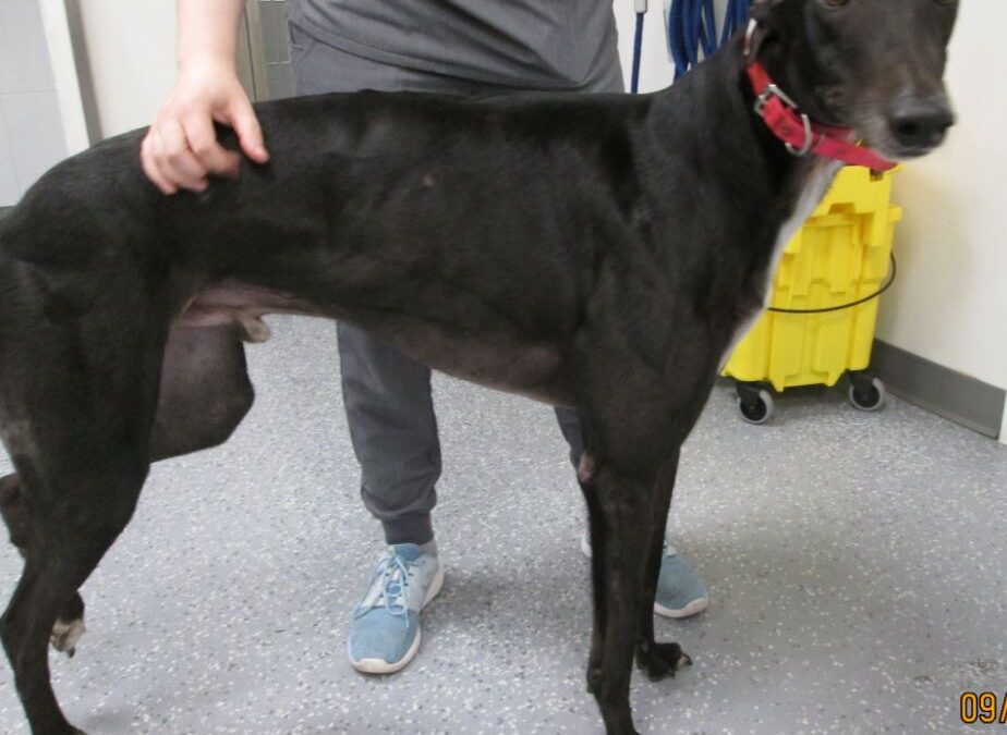 Sweet Broken Leg Little Boy!