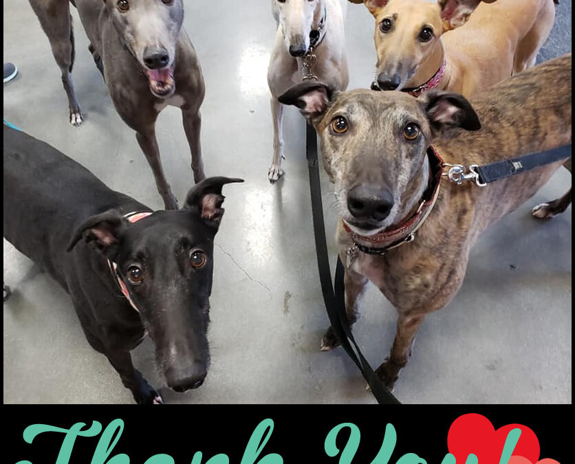 Thank you all SO MUCH!﻿