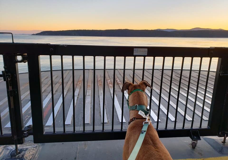 Welcoming new Canadians from Overseas!