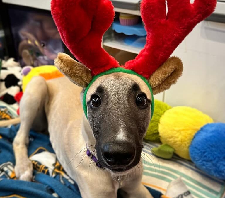 2022 Year End Donations!