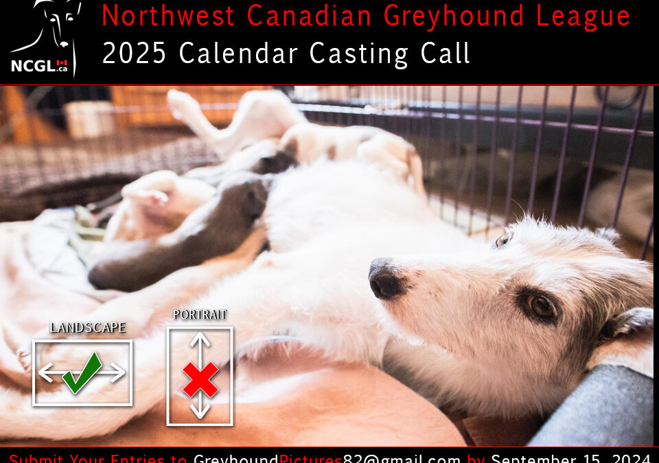NCGL 2025 Calendar Casting Call!