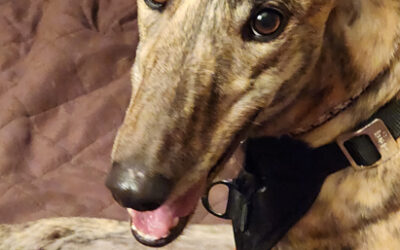 Rani – She Could Be Your Princess