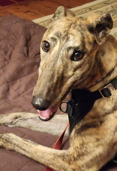 Rani – She Could Be Your Princess