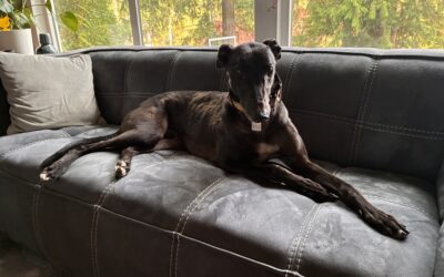 Blackie